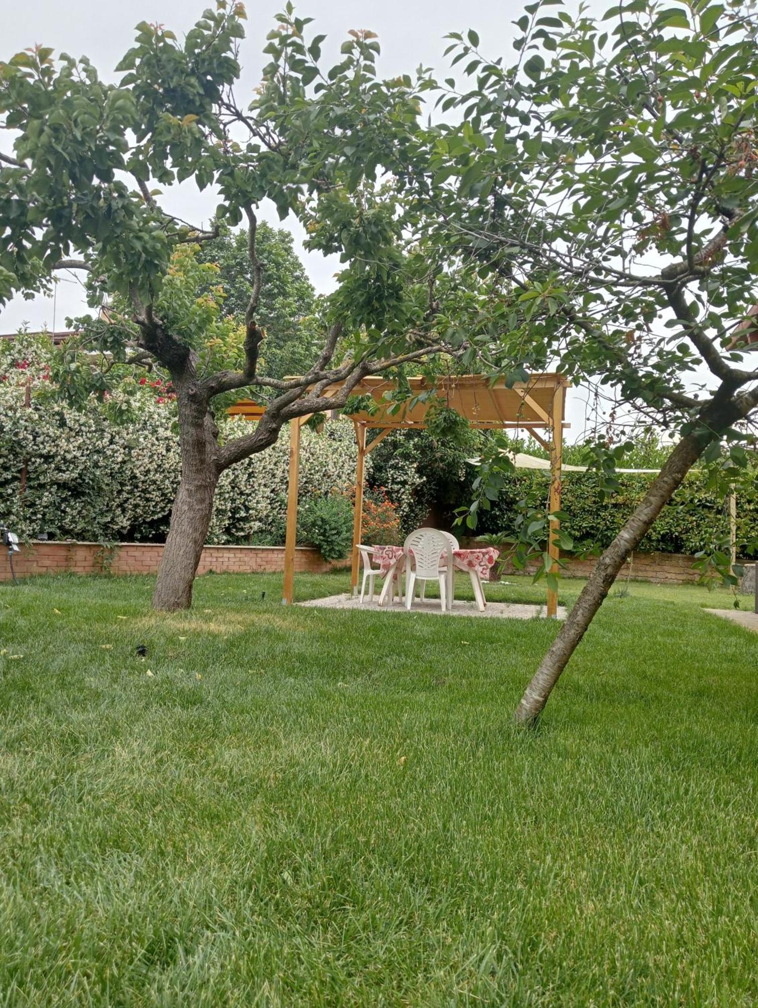 Da Piero E Gina Hotell Palidoro Rom bilde